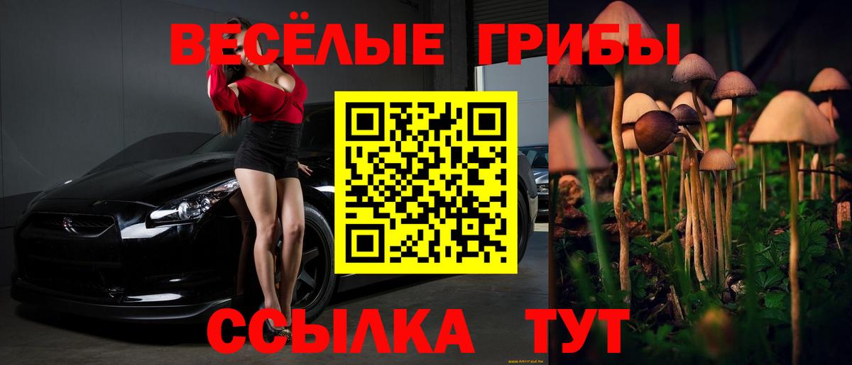 Галлюциногенные грибы Magic Shrooms Семилуки