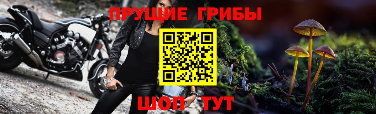 Семилуки  Псилоцибиновые грибы Cubensis  Вход с VPN 